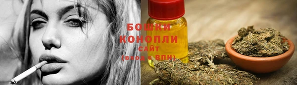 PSILOCYBIN Алзамай