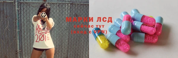 PSILOCYBIN Алзамай