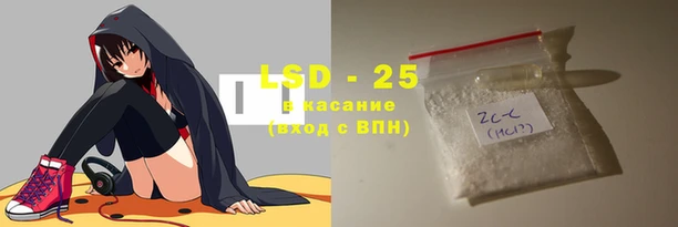 PSILOCYBIN Алзамай