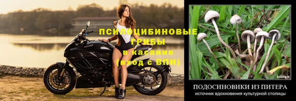 сатива Алексеевка